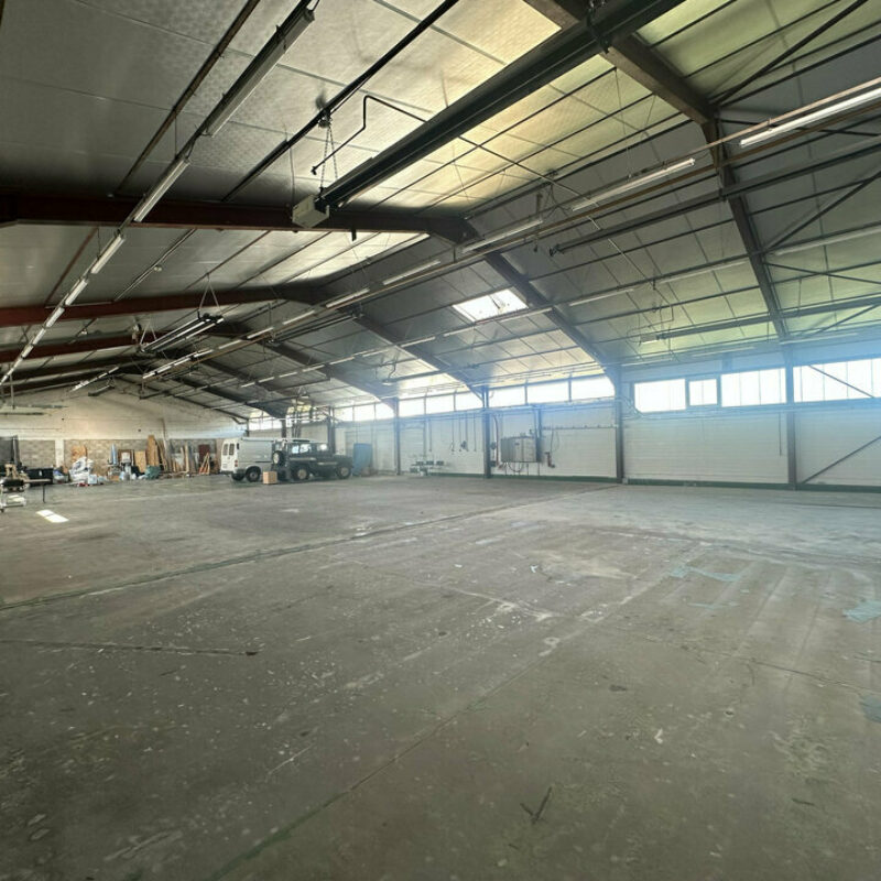 Location - 1400 m² - DUTTLENHEIM - 2