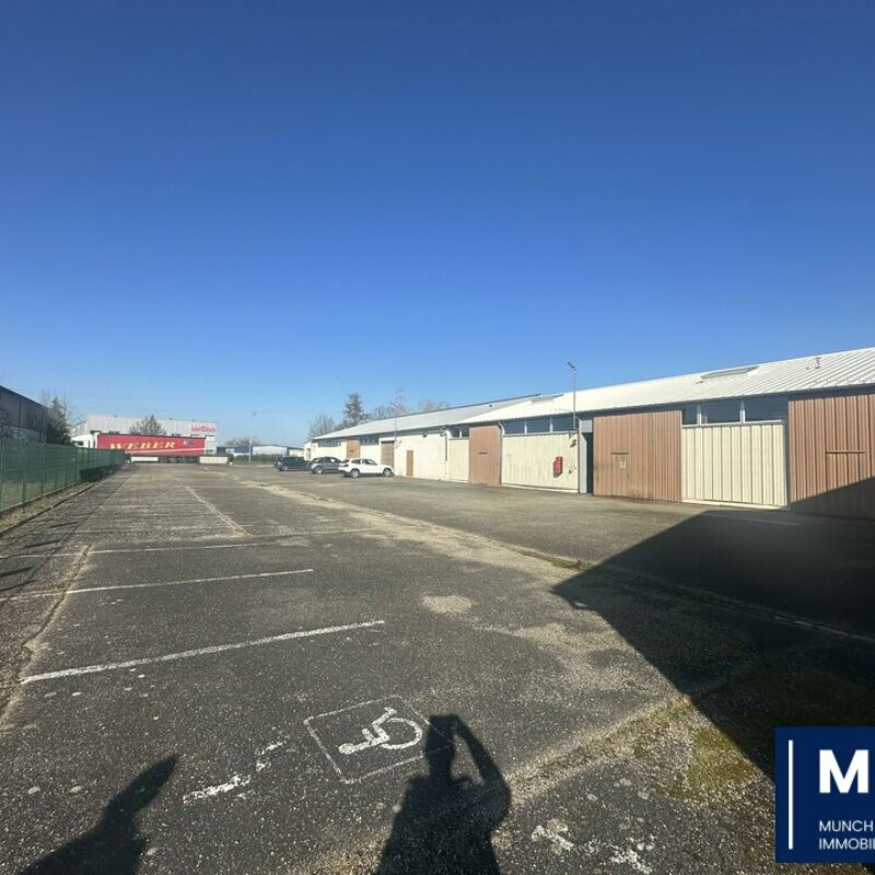 Location - 1400 m² - DUTTLENHEIM - 1