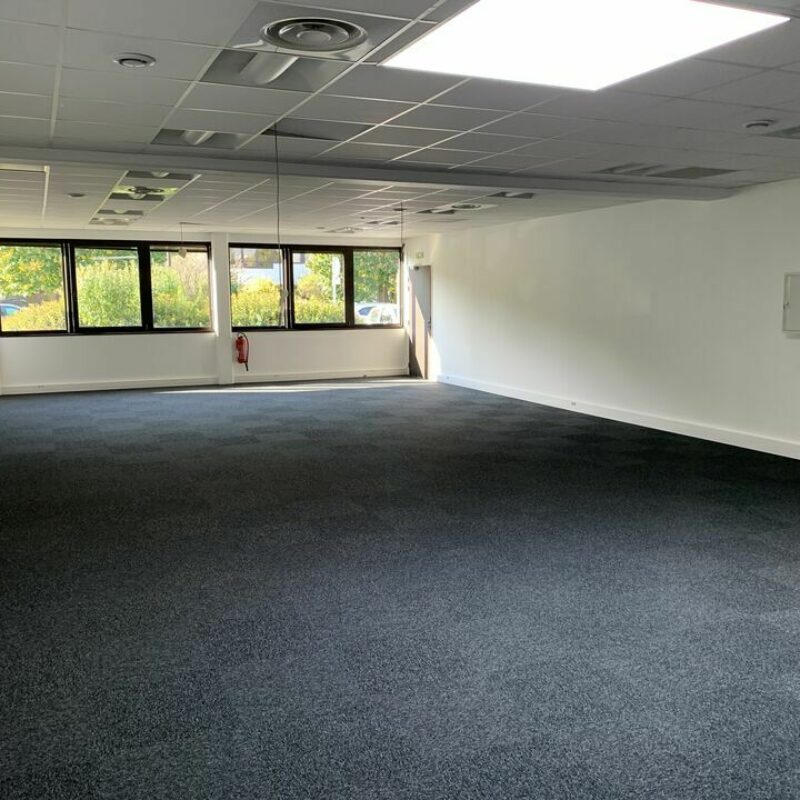 Location - 280 m² - STRASBOURG - 3