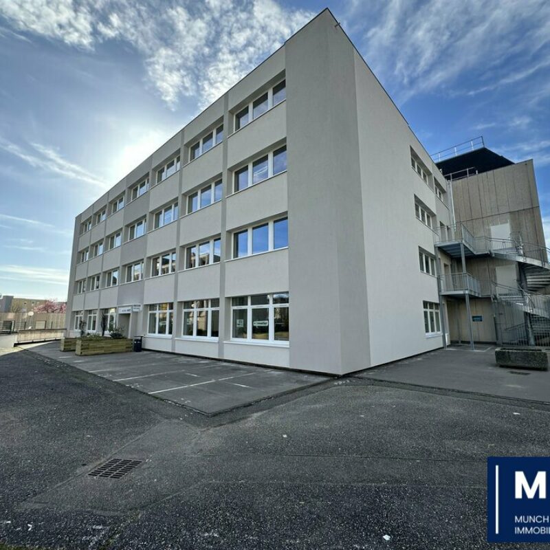 Location - 680 m² - STRASBOURG - 1