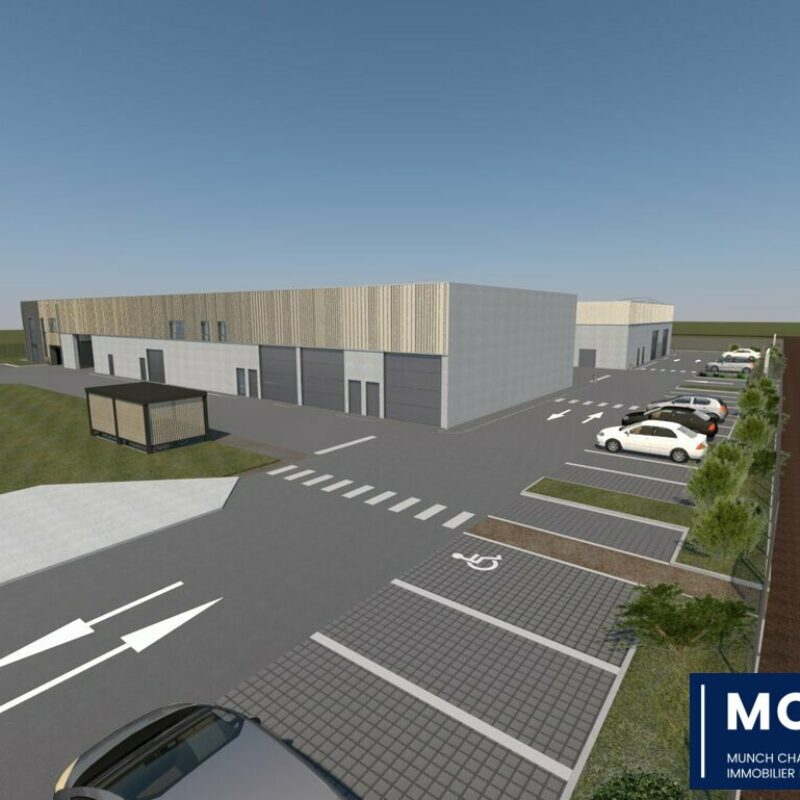 Location - 717.22 m² - KILSTETT - 1