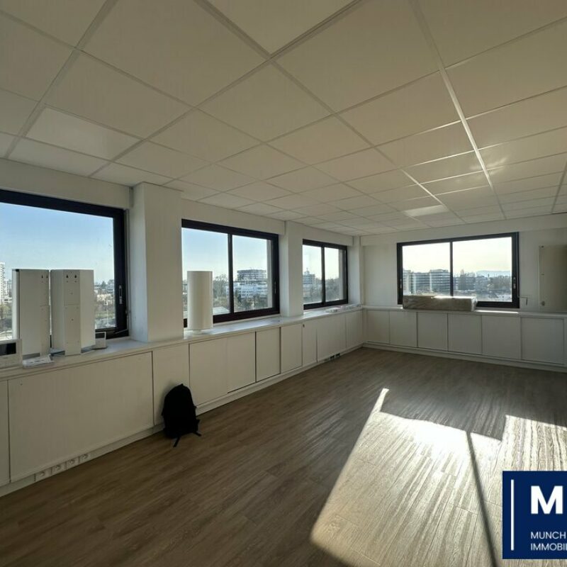 Vente - 470 m² - SCHILTIGHEIM - 1