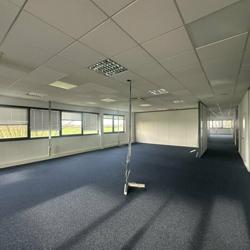 Location - 462 m² - ENTZHEIM - 4