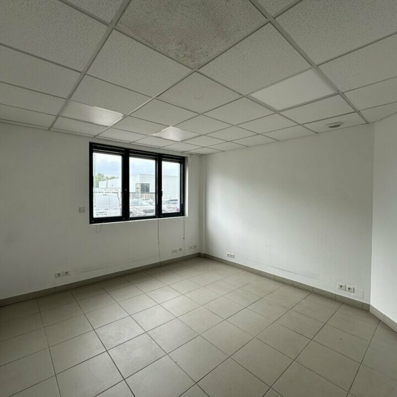 Location - 150 m² - OSTWALD - 4
