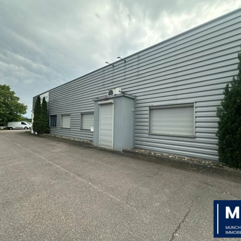 Location - 150 m² - OSTWALD - 1