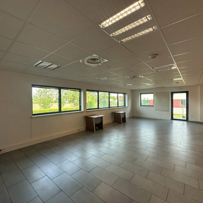 Location - 574 m² - WEYERSHEIM - 5