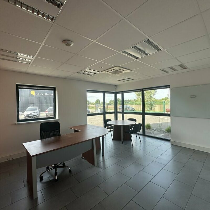 Location - 574 m² - WEYERSHEIM - 4