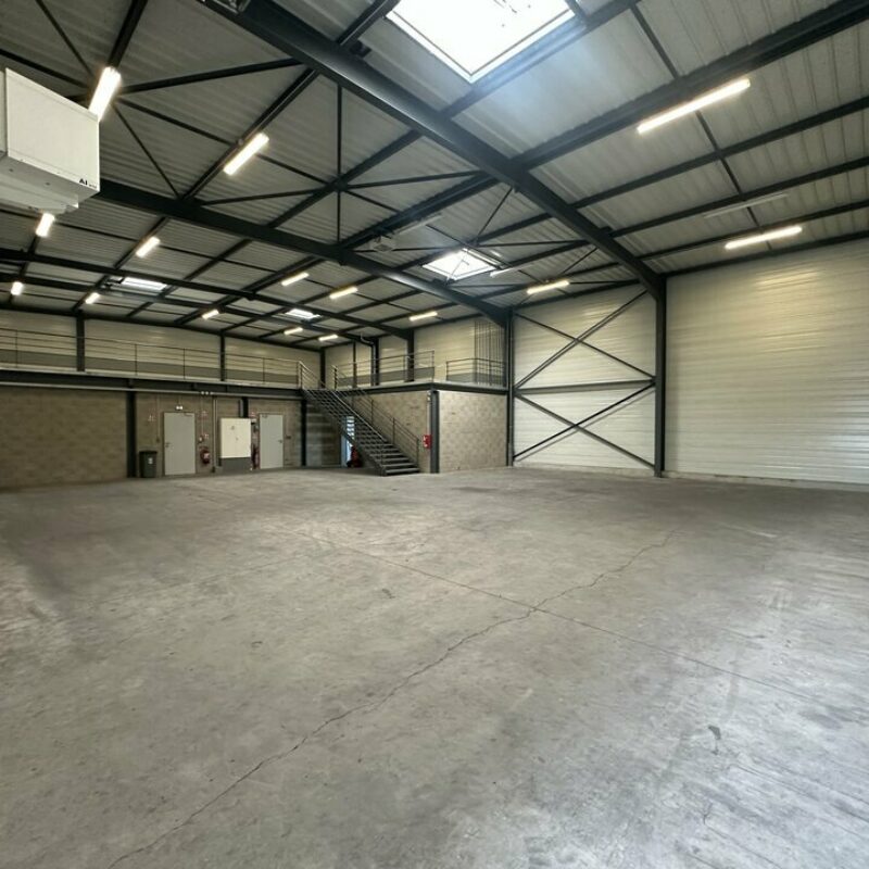 Location - 574 m² - WEYERSHEIM - 2