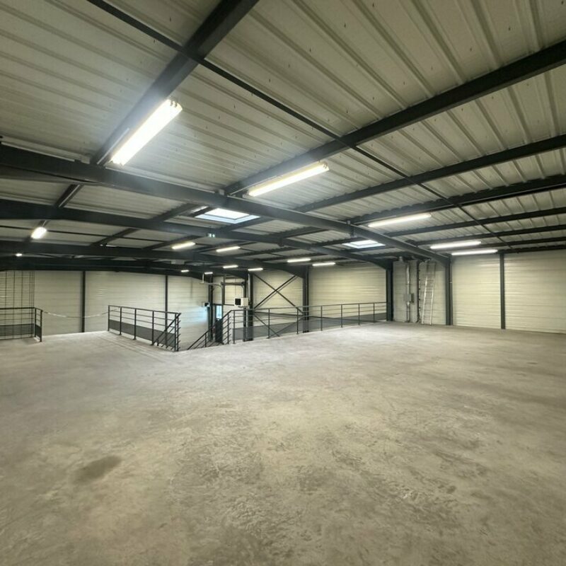 Location - 574 m² - WEYERSHEIM - 3