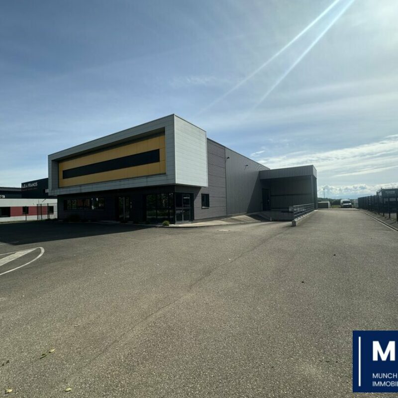 Location - 574 m² - WEYERSHEIM - 1