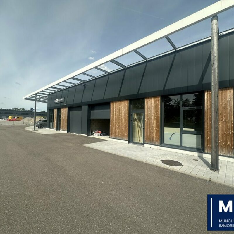 Vente - 100 m² - GEISPOLSHEIM - 1