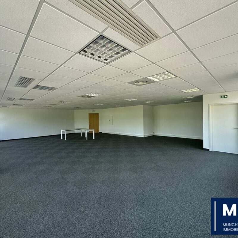 Vente - 142 m² - ENTZHEIM - 1