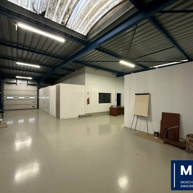 Vente - 552 m² - GEISPOLSHEIM - 1