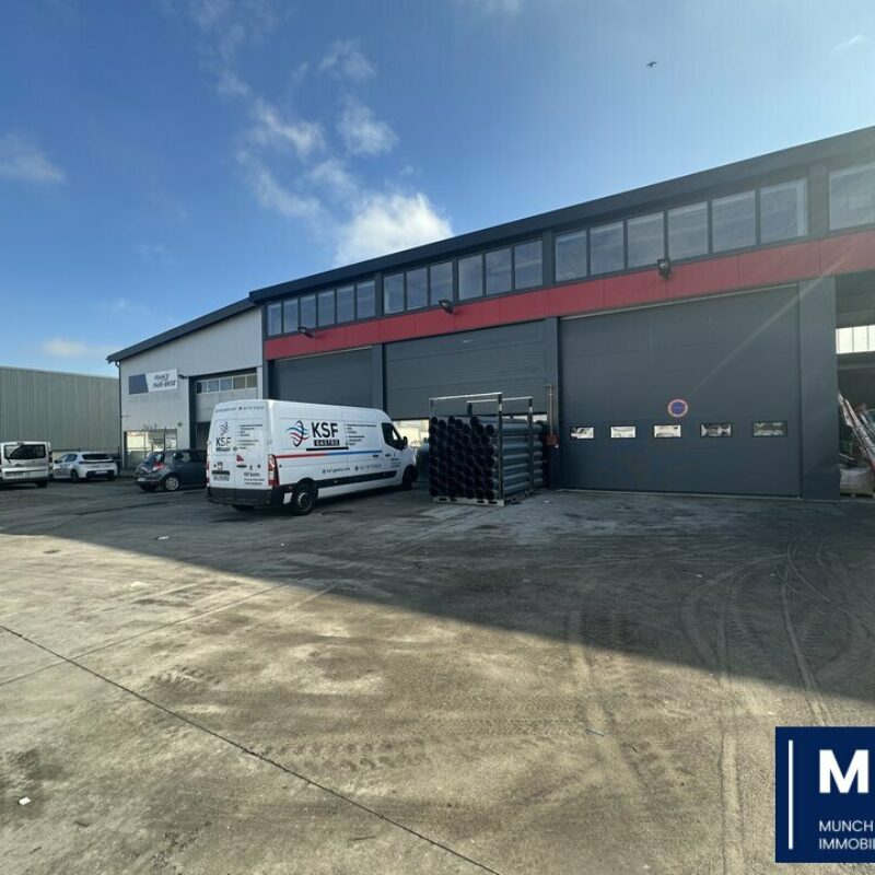Location - 310 m² - STRASBOURG - 1