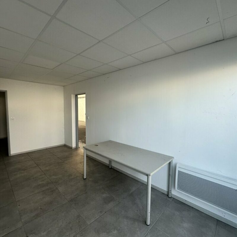 Location - 310 m² - STRASBOURG - 4