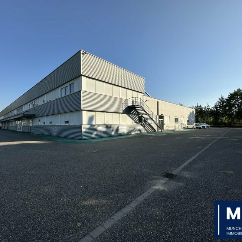 Location - 695.8 m² - MUNDOLSHEIM - 1