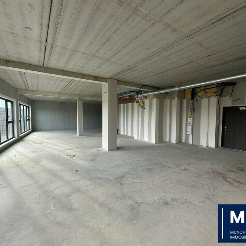 Vente - 495.08 m² - HAGUENAU - 1