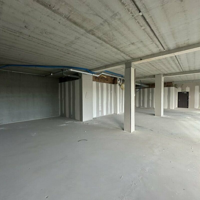 Vente - 495.08 m² - HAGUENAU - 2
