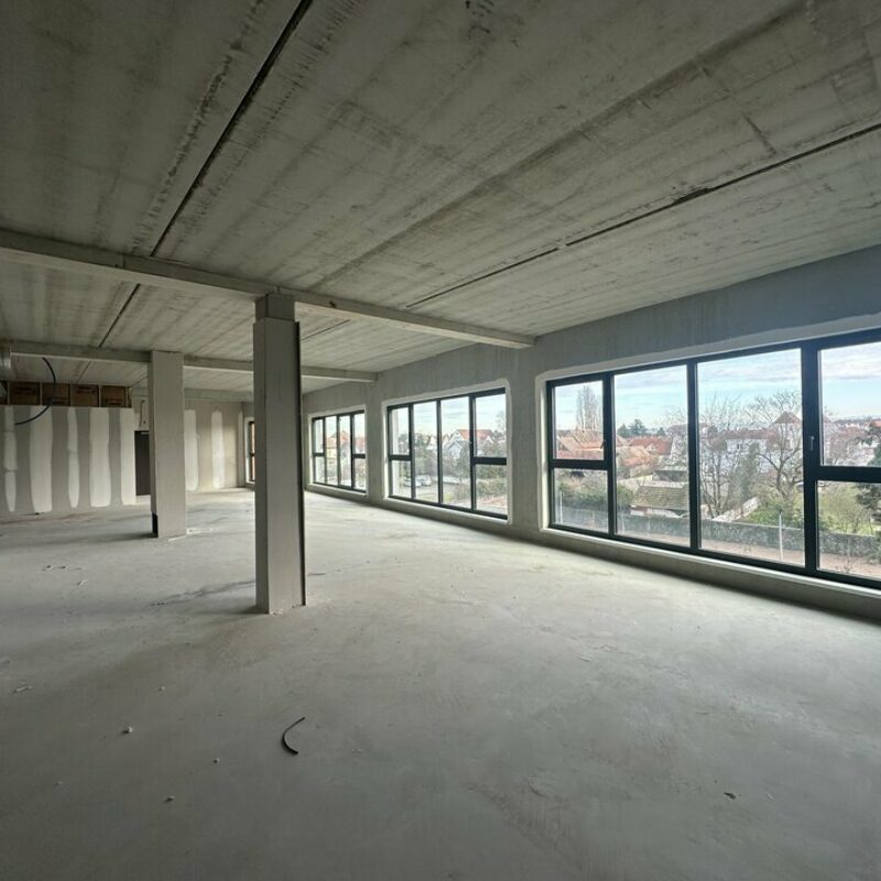 Vente - 495.08 m² - HAGUENAU - 3