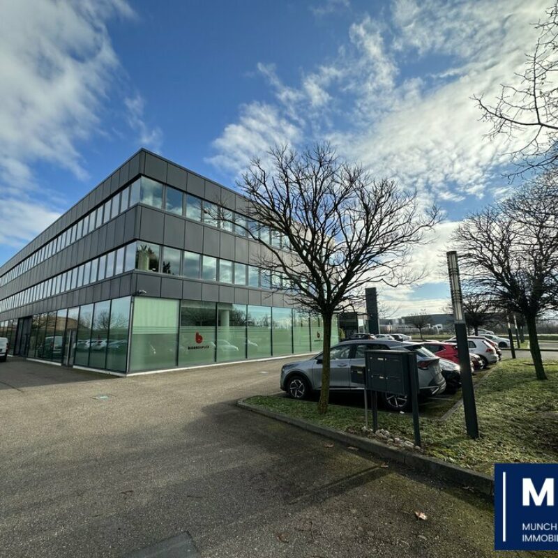 Vente - 352 m² - ENTZHEIM - 1