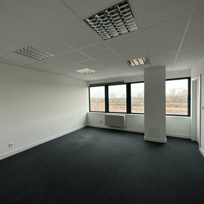 Vente - 352 m² - ENTZHEIM - 4