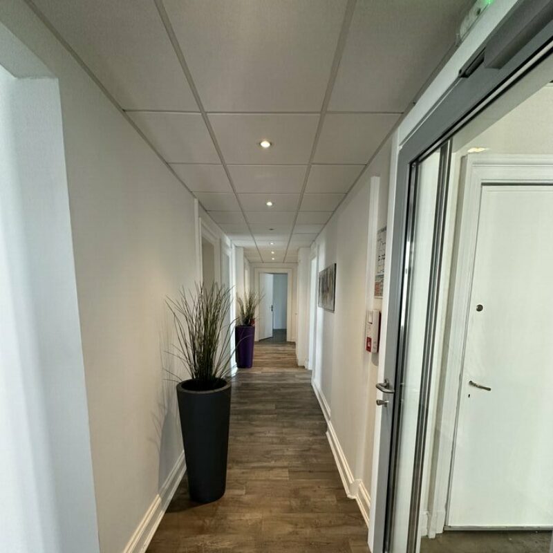 Location - 207 m² - STRASBOURG - 4