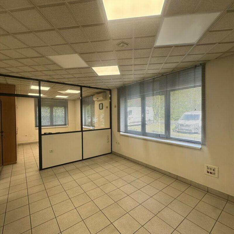 Location - 360 m² - OSTWALD - 4