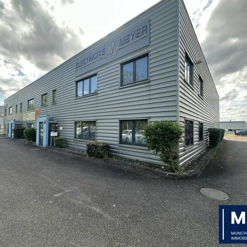 Location - 360 m² - OSTWALD - 1