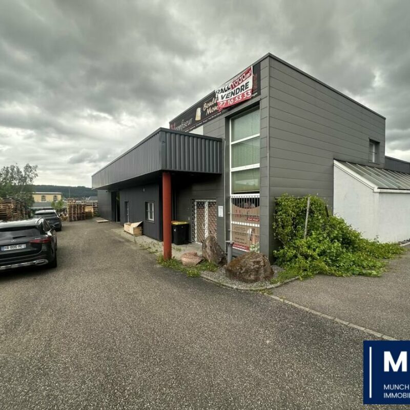 Vente - 1057 m² - SAVERNE - 1