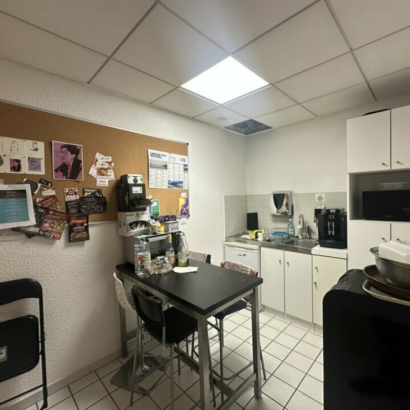 Location - 237.27 m² - SOUFFELWEYERSHEIM - 2