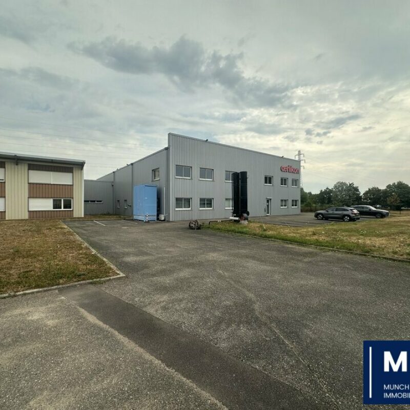 Vente - 1510 m² - DUTTLENHEIM - 1