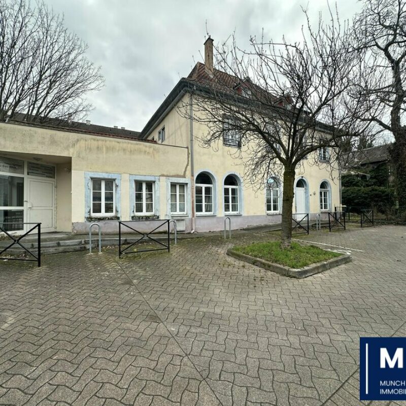 Location - 330 m² - SCHILTIGHEIM - 1