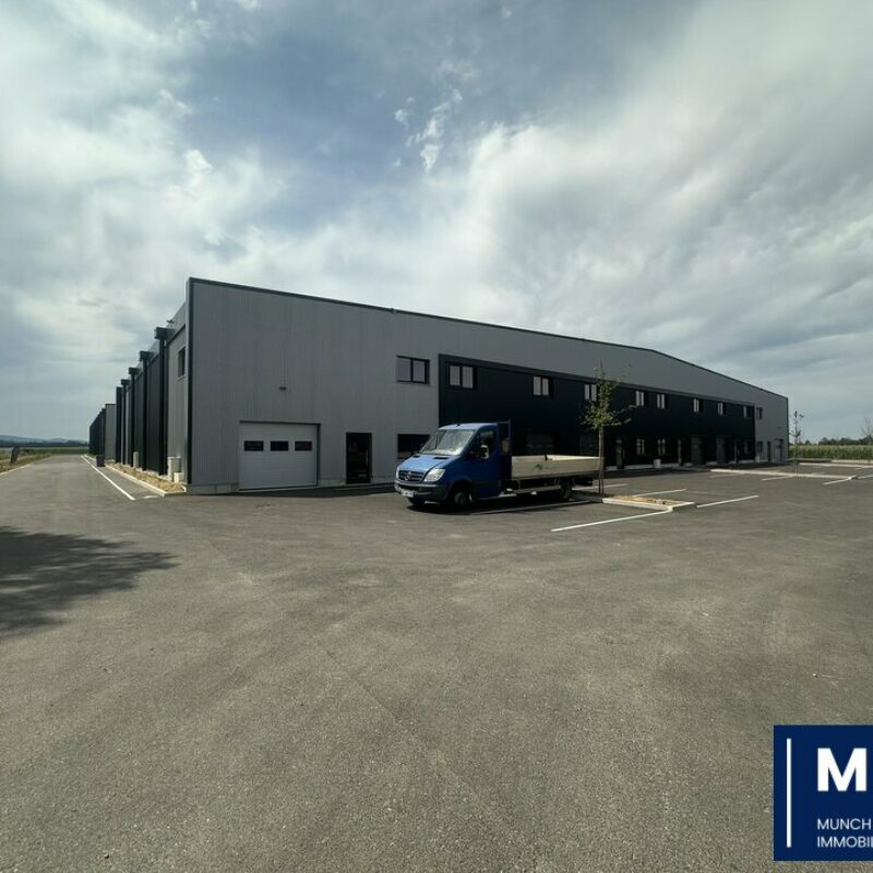 Vente - 7749.2 m² - FEGERSHEIM - 1