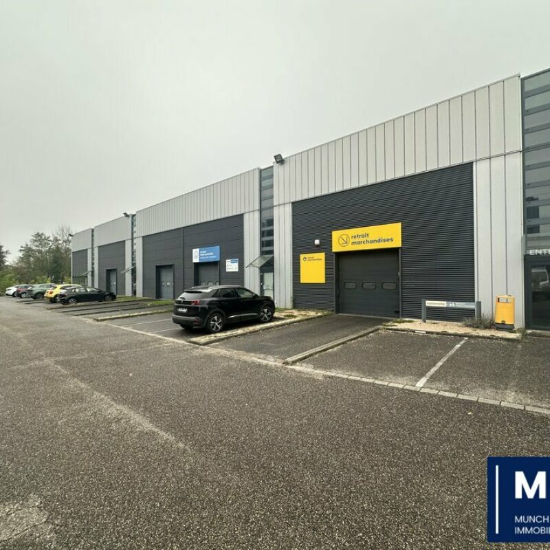 Location - 900 m² - MUNDOLSHEIM - 1