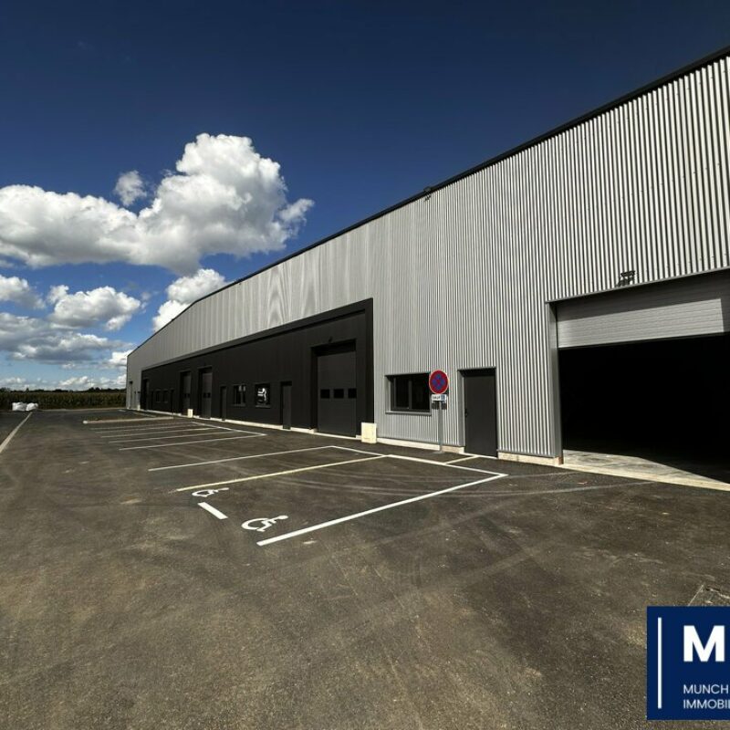 Vente - 7749.2 m² - FEGERSHEIM - 2