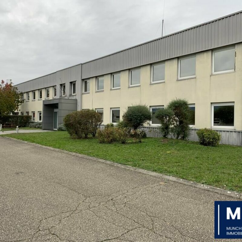 Location - 1000 m² - STRASBOURG - 1