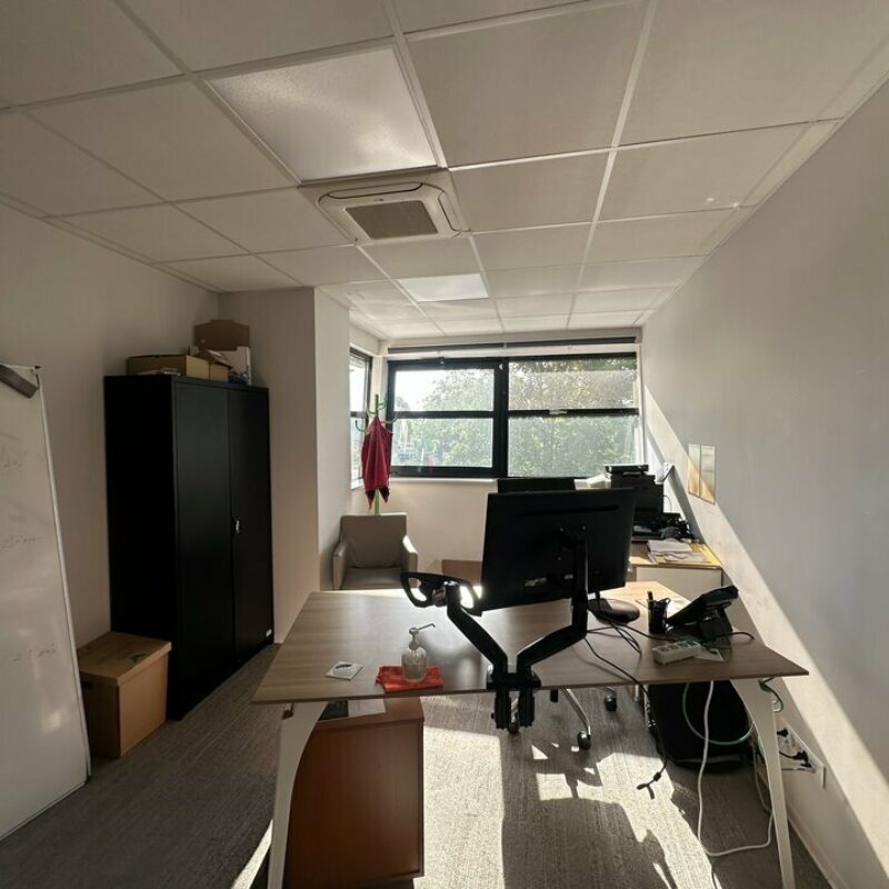 Location - 541 m² - SCHILTIGHEIM - 5
