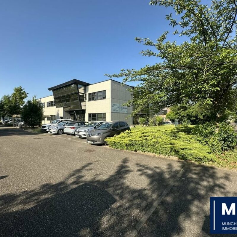 Location - 541 m² - SCHILTIGHEIM - 1