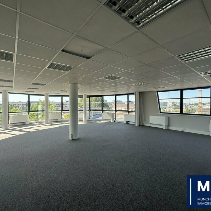 Location - 918 m² - STRASBOURG - 1