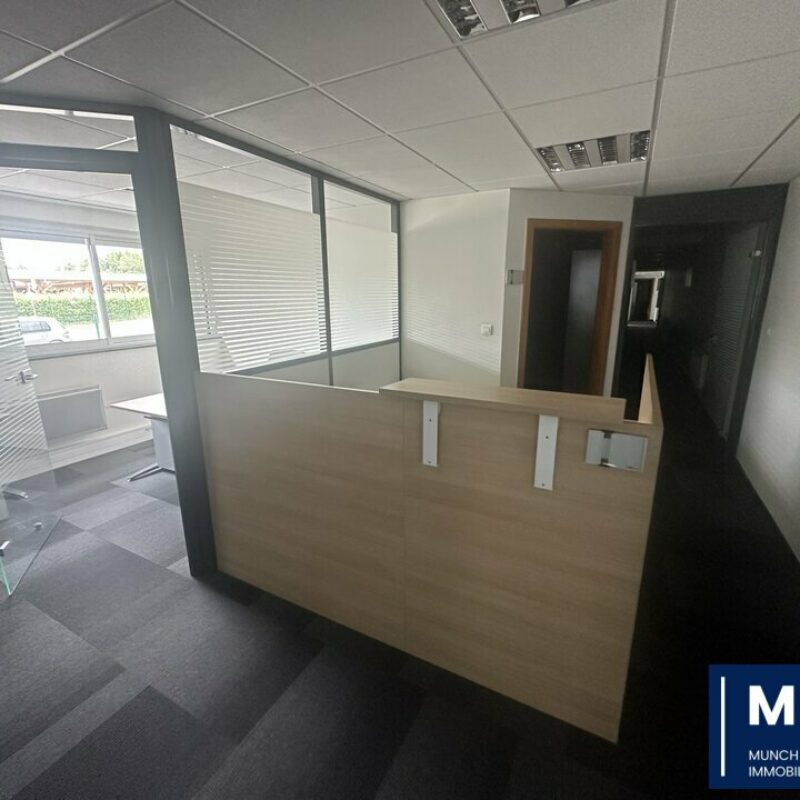 Location - 318 m² - HAGUENAU - 1