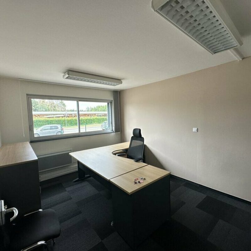 Location - 318 m² - HAGUENAU - 2