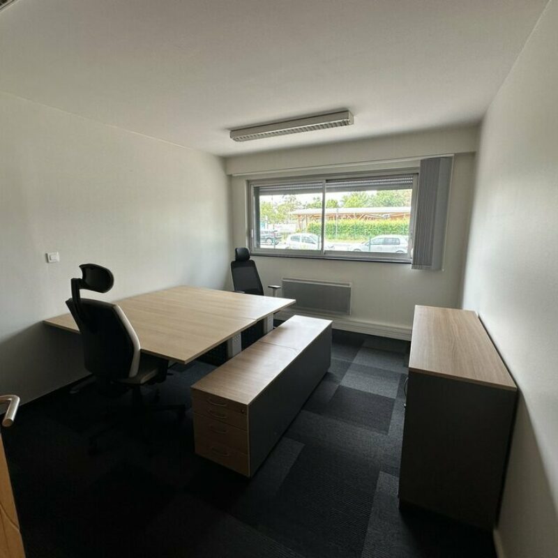 Location - 318 m² - HAGUENAU - 3