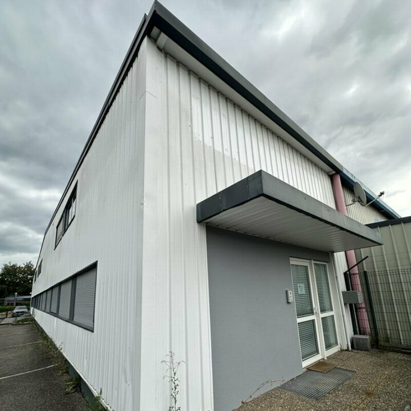 Location - 318 m² - HAGUENAU - 5
