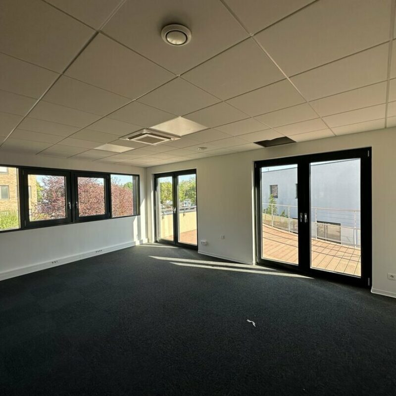 Location - 685.54 m² - ENTZHEIM - 5