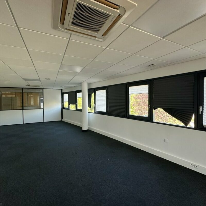 Location - 685.54 m² - ENTZHEIM - 3