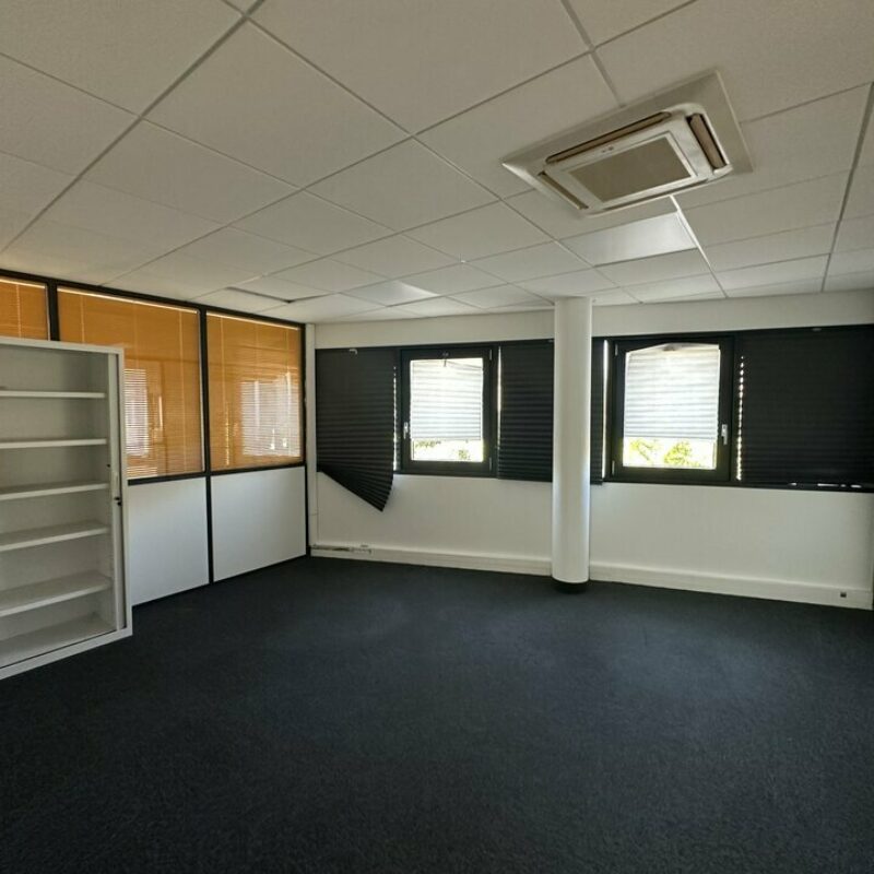 Location - 685.54 m² - ENTZHEIM - 4