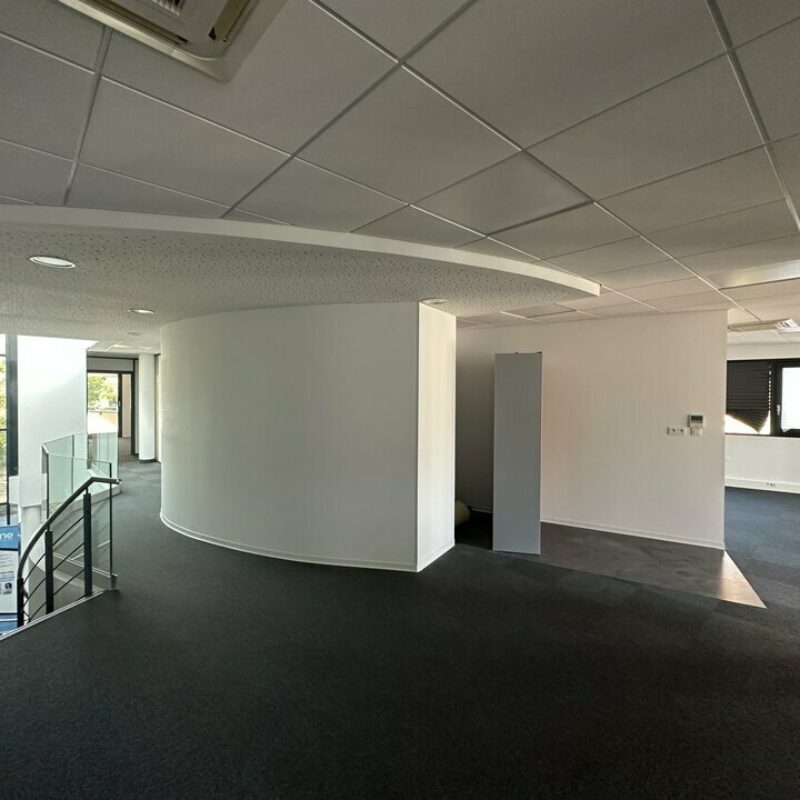 Location - 685.54 m² - ENTZHEIM - 2