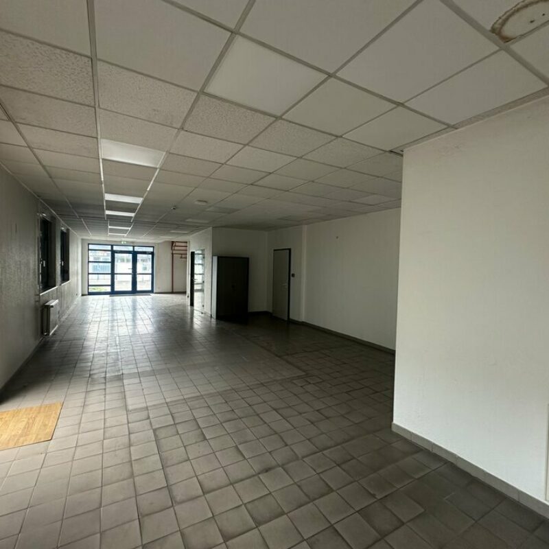 Location - 768 m² - SOUFFELWEYERSHEIM - 5