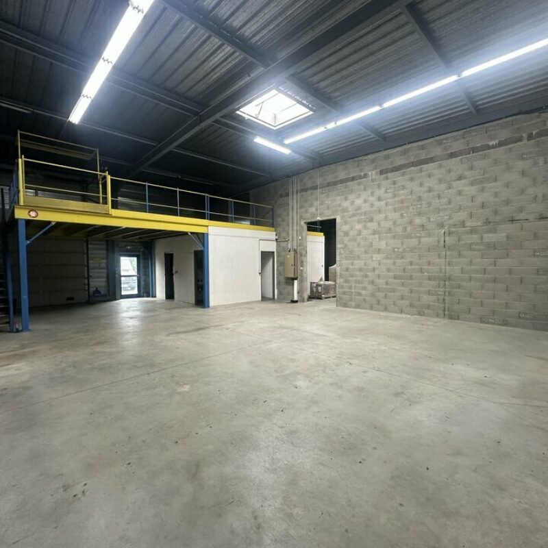 Location - 768 m² - SOUFFELWEYERSHEIM - 3