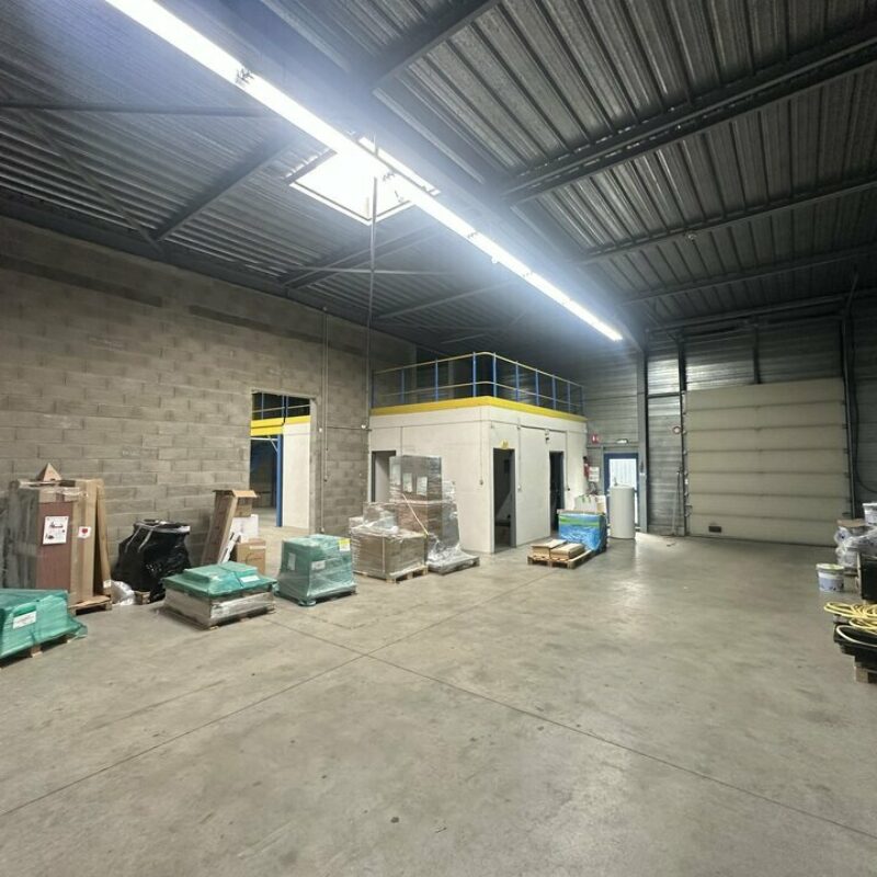 Location - 768 m² - SOUFFELWEYERSHEIM - 4